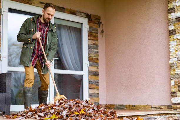 Best Trash Removal Near Me  in Willard, UT